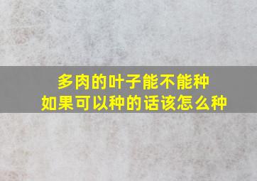 多肉的叶子能不能种 如果可以种的话该怎么种